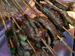 鳝鱼-晓靖轩烧烤(沙河风情店)
