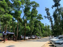 -西涌国际滨海旅游区