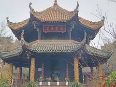 -青羊宫