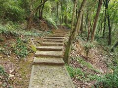 -上海佘山国家森林公园天马山园