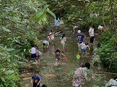 -桤木河湿地公园