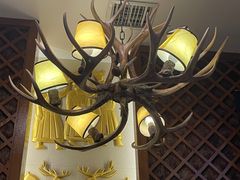 -诺敏塔拉奶茶-布里亚特包子-手把肉(锦都会店)