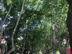 -浙江省杭州高级中学(贡院校区)