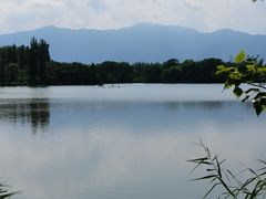 -翠湖国家城市湿地公园