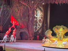 -广州长隆国际大马戏