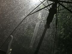 -星巴克(苏州平江万达广场店)