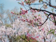 -玄武湖景区-情侣园游乐场