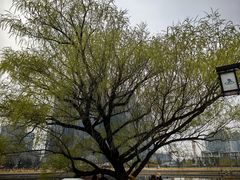-西海子公园
