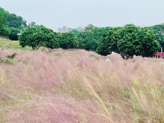 -红花山公园