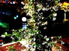 -荷风细雨·中国茶宴(碧云店)