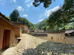 -杨家堂村