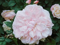 -人民公园(罗湖区)