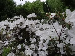 -孝子祠公园