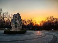 -绿堤公园