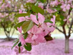 -蓝地时尚庄园(北京清河营地铁站店)