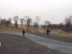 -盘龙城国家考古遗址公园