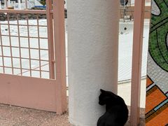 -九龙公园