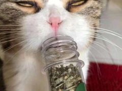 -考记泥焗鸡农庄·海鲜(北洛秘境店)