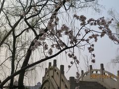 -迎泽公园