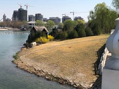 -河北省园博园