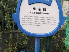 -南京眼步行桥