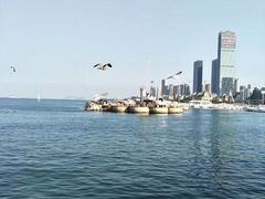 -东港音乐喷泉广场