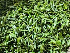 -龙坞茶村