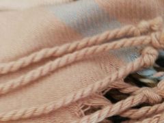 -长春公园(普阳街道)