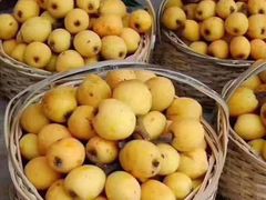 -塘栖枇杷特色园区