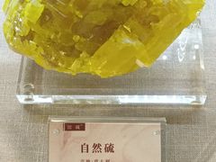 -安徽省地质博物馆