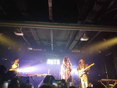 -坚果NUTS