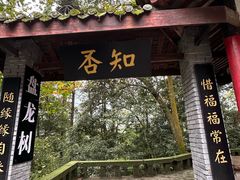 -峨眉山风景名胜区