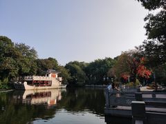-金花茶公园