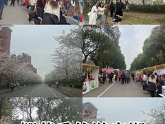 -高东镇樱花园