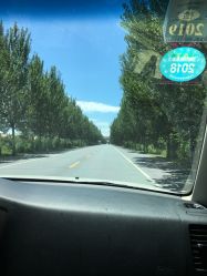 -归真美学颜究中心