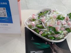 -中农国际动物医院24小时·猫科·骨科·急重症中心