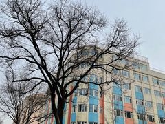 -北京洁如幼儿园
