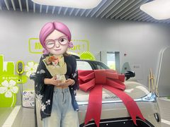 -上海浦东smart汽车全功能店(金桥店)