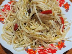 醋溜有机豆芽-福苗小骆驼烧烤(莲湖路店)