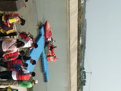 -合肥滨湖国家森林公园