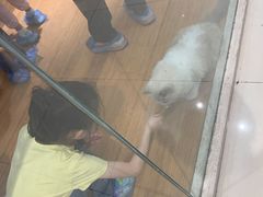 -猫冇咖·家门口的撸猫馆(大融城店)