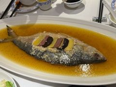 -老吉士酒家(天平路店)