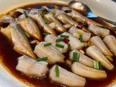 梅童鱼九肚鱼双拼-新荣记(南京西路店)