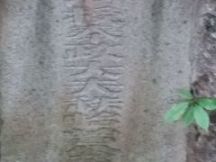 -晓港公园