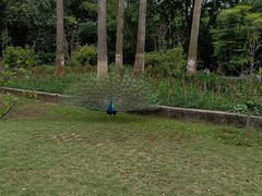 -柳州市动物园