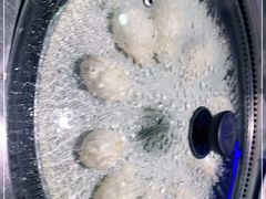 -挂雪铁锅炖大鹅