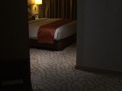 -天津水游城丽筠酒店