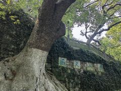-城隍阁
