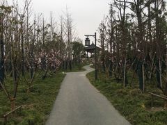 -蜀冈西峰生态公园