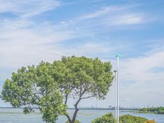 -蟹天蟹地农家菜·阳澄湖大闸蟹(浅水湾店)